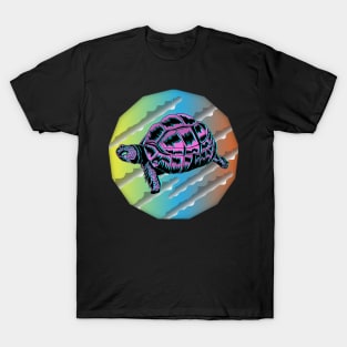 Flying Turtle T-Shirt